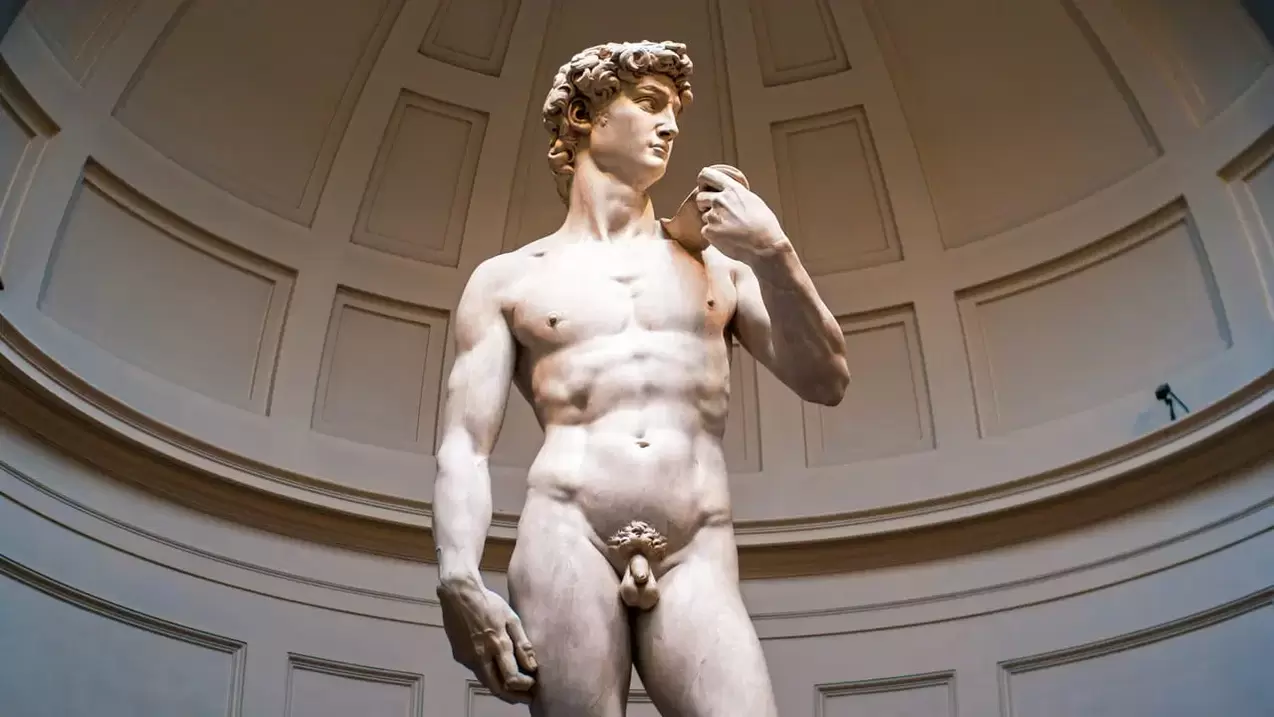 kip moškega s čudovitim penisom